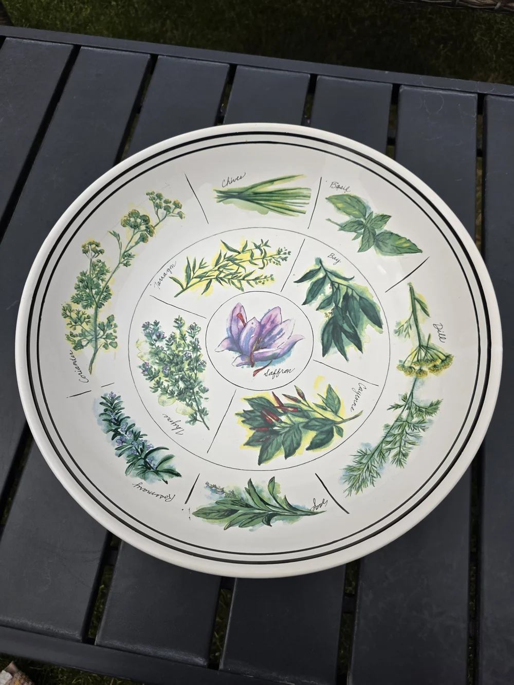 Williams Sonoma Culinary Herbs Pasta Serving Bowl 13 in Made in Portugal